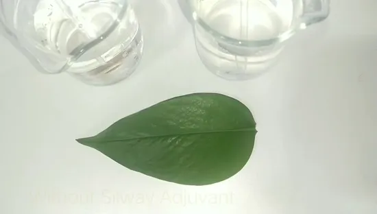 Organic Silicone Spray Adjuvant /Drift Reduction & Uniform Coverage for Foliar Spray