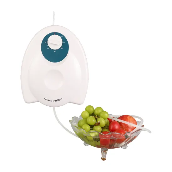 Portable Fruit and Vegetable Ozone Disinfection Machine Ozone Generator 